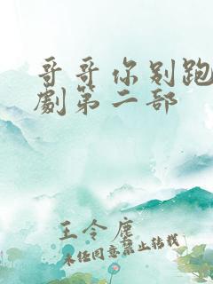 哥哥你别跑电视剧第二部