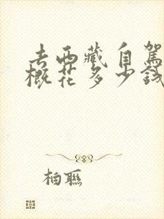 去西藏自驾游大概花多少钱