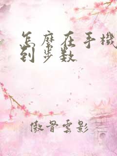怎么在手机上看到步数