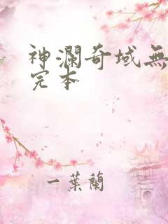 神澜奇域无双珠完本