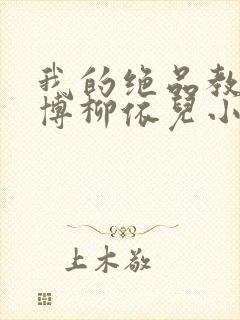 我的绝品教师王博柳依儿小说在线阅读
