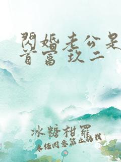 闪婚老公是千亿首富 玖二