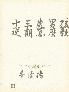 十三岁男孩子叛逆期怎么教育