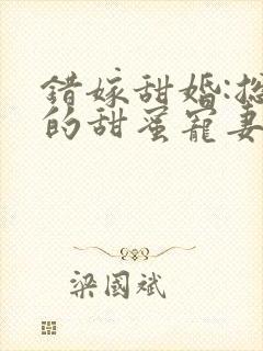 错嫁甜婚:总裁的甜蜜宠妻