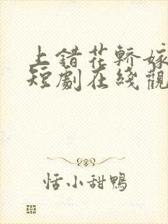 上错花轿嫁王爷短剧在线观看全集