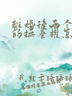 离婚后两个小孩的抚养权怎么判