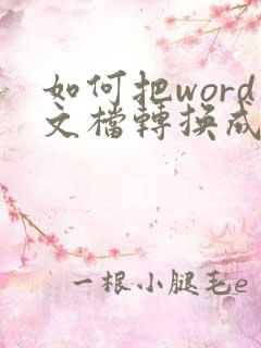 如何把word文档转换成excel表格