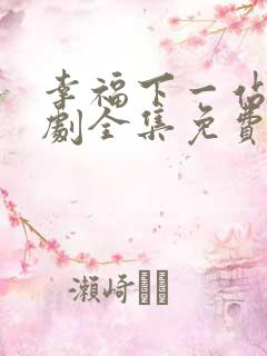 幸福下一站电视剧全集免费观看