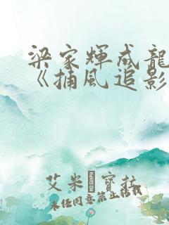梁家辉成龙新片《捕风追影》在线观看