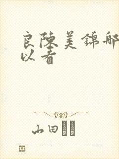 良陈美锦哪里可以看