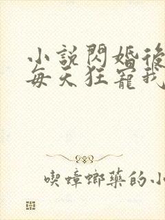 小说闪婚后大叔每天狂宠我