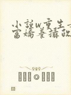 小说w重生女首富娇养摄政王》