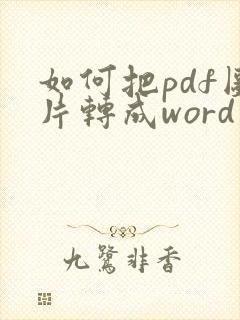 如何把pdf图片转成word可编辑版