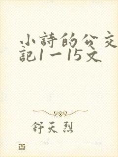 小诗的公交车日记1一15文