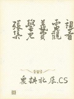 张学义电视剧全集免费观看高清