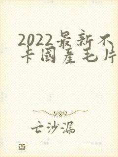 2022最新不卡国产毛片