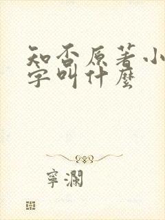 知否原著小说名字叫什么