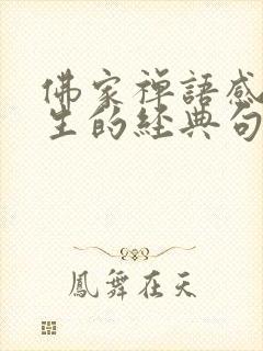 佛家禅语感悟人生的经典句子