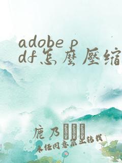 adobe pdf怎么压缩大小
