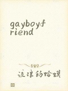 gayboyfriend