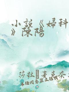 小说《妇科医生》陈阳