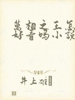 万相之王怎么样好看吗小说
