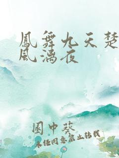 凤舞九天楚倾歌风漓夜