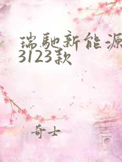 瑞驰新能源ec3123款