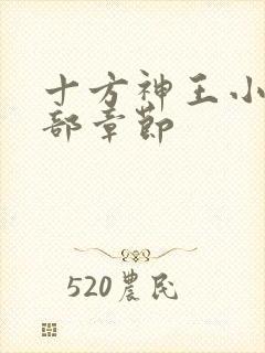 十方神王小说全部章节