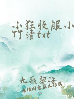小狂收服小舞朱竹清txt