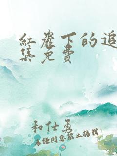 红岩下的追捕全集免费