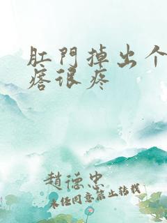 肛门掉出个硬疙瘩很疼
