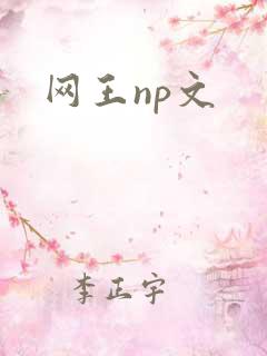 网王np文