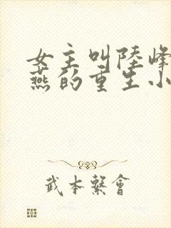 女主叫陆峰江晓燕的重生小说