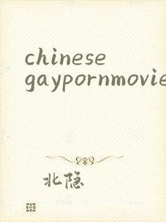chinesegaypornmovie