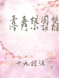 青春校园双男主冷门小说推荐