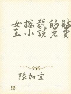 女总裁的贴身兵王小说免费阅