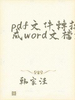 pdf文件转换成word文档乱码