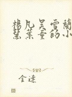 杨凡吴雪兰周文慧叶童的小说