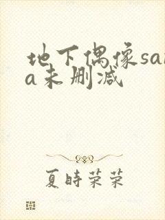 地下偶像sana未删减