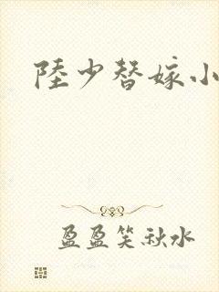 陆少替嫁小娇妻