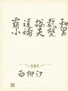 霸道总裁和他的小娇夫双男主
