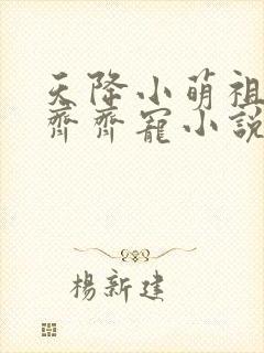 天降小萌祖全家齐齐宠小说