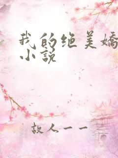 我的绝美娇妻 小说