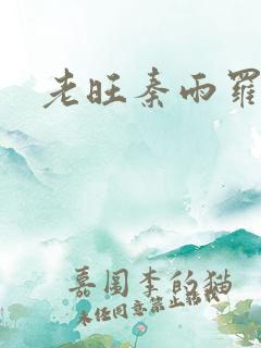 老旺秦雨罗明