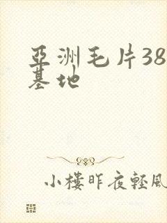 亚洲毛片38情基地