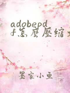 adobepdf怎么压缩文件大小
