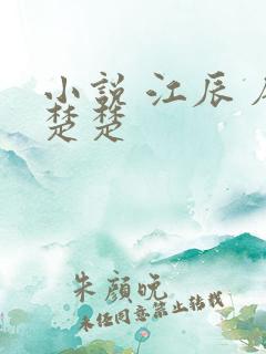 小说 江辰 唐楚楚