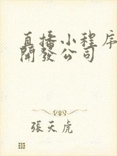 直播小程序定制开发公司