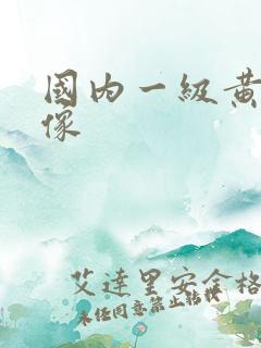 国内一级黄色录像